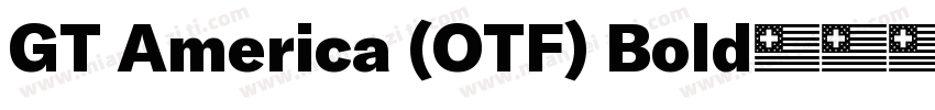 GT America (OTF) Bold字体转换